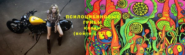 кокаин премиум Алексеевка