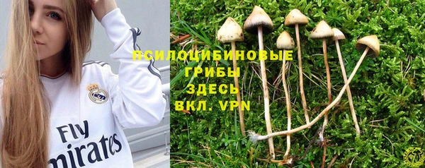 шишки Алексин