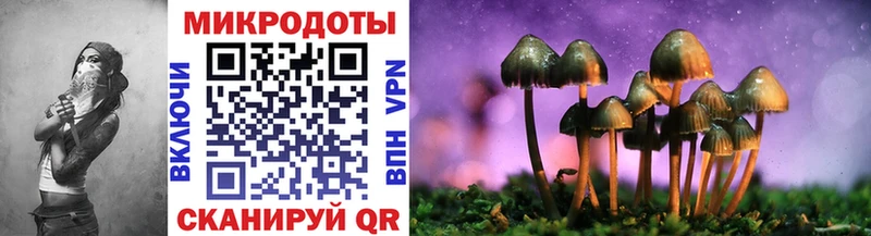 Псилоцибиновые грибы Psilocybe ОМГ ОМГ зеркало Завитинск как найти закладки